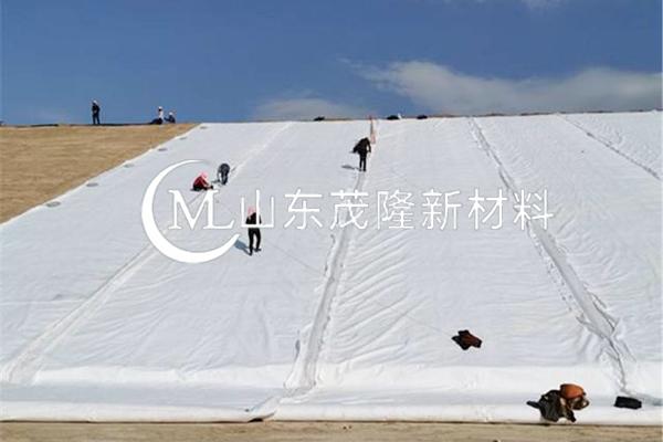 《引江濟淮工程（安徽段）引江濟巢段菜巢線施工C001 標工程項目》土工布施工